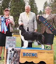 BCCNC Specialty Gary and Elle Win Photo